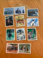 Dierenplaatjes, Ophalen of Verzenden, Plaatje