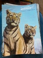 12 Artis Tijdschriften '64-'70, Boeken, Tijdschriften en Kranten, Ophalen of Verzenden, Gelezen, Wetenschap en Natuur