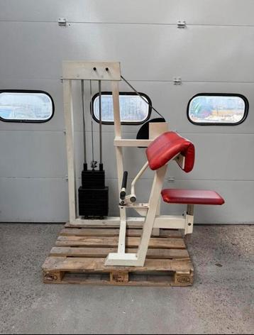 Gym 80 biceps curl / bicep / bizep / bizeps / machine beschikbaar voor biedingen