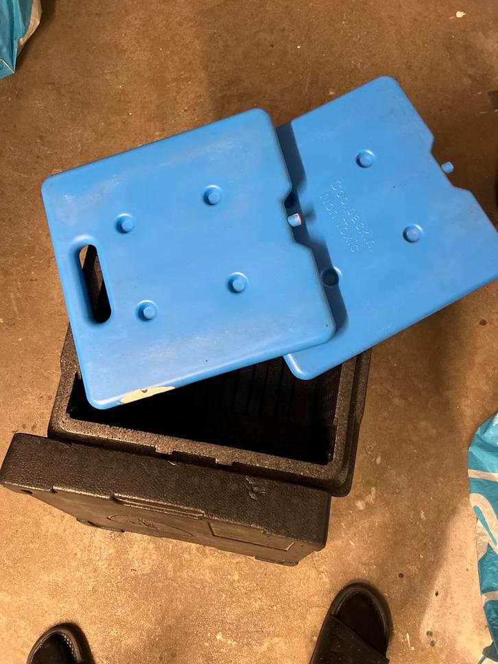 Koelbox met Koelelementen - Gebruikt, Caravans en Kamperen, Koelboxen, Gebruikt, Koelbox, Koelelement, Ophalen of Verzenden