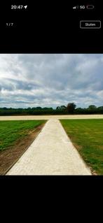 Stallen te huur (pension), Dieren en Toebehoren, Stalling en Weidegang, Weidegang, 4 paarden of pony's of meer