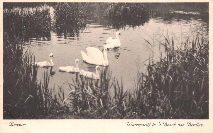 Bussum, Waterpartij in 't Bosch van Bredius (Jaren 40), Verzamelen, Ansichtkaarten | Nederland, Gelopen, Noord-Holland, 1940 tot 1960