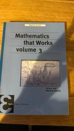 Maarten de Gee - mathematics that work volume 3, Ophalen of Verzenden, Zo goed als nieuw, Natuurwetenschap, Maarten de Gee