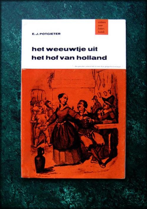 HET WEEUWTJE uit het Hof van Holland - EJ Potgieter - Opnieu, Boeken, Literatuur, Zo goed als nieuw, Nederland, Verzenden