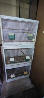 Broedkooien / vogelhokken, Dieren en Toebehoren, Ophalen, Hout, Broedkooi of Kweekkooi