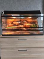 Terrarium te koop, Dieren en Toebehoren, Ophalen, Zo goed als nieuw, Terrarium of Paludarium