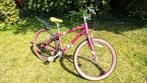 Kinderfiets, Raleigh 24 inch mountainbike, Fietsen en Brommers, Fietsen | Meisjes, Ophalen, 24 inch, Zo goed als nieuw, Raleigh
