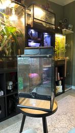 Exo terra 30x30x45 terrarium, Ophalen, Zo goed als nieuw