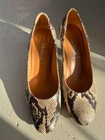 Slangenleren dameshak 39 Voltan, Kleding | Dames, Schoenen, Ophalen of Verzenden, Zo goed als nieuw