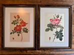 Vintage bloemenprints P. J. Redoute in lijst, Antiek en Kunst, Ophalen of Verzenden