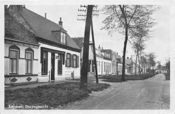 (378-306-031) Renesse Dorpsgezicht beschikbaar voor biedingen