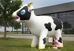 Boerderij thema attracties en spellen huren?!, Ophalen of Verzenden, Gebruikt, Overige