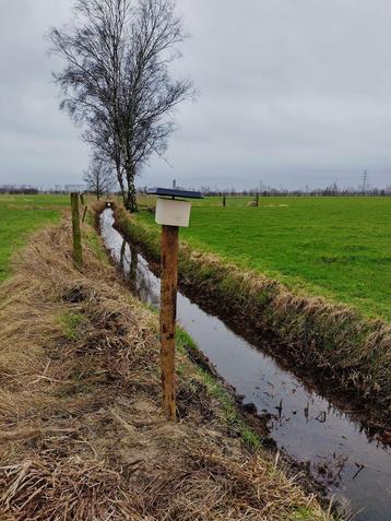 Lik steen voor ree edelhert wildzwijn 