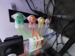 DD H2Ocean Doseer pomp 4-kanaals, Ophalen, Gebruikt, Overige typen