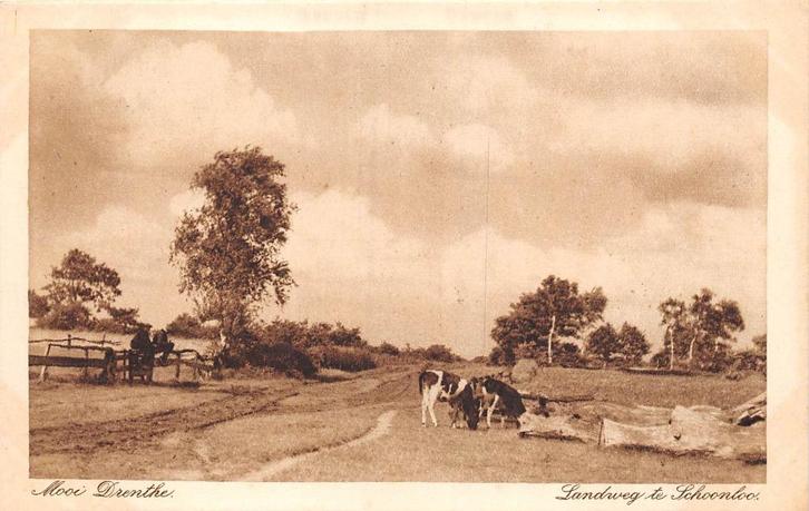 W267 Schoonloo Landweg - koe koeien -, Verzamelen, Ansichtkaarten | Nederland, Drenthe, Voor 1920, Ophalen of Verzenden