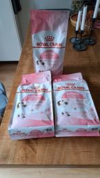 Kitten voer voeding Royal Canin kitten brokken 5kg, Dieren en Toebehoren, Dierenvoeding, Ophalen of Verzenden, Kat