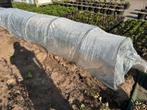 Tunnelkas, tunnel kas bogen, tunnelbogen, moestuin planten, Tuin en Terras, Kassen, Ophalen, Glas, Zo goed als nieuw