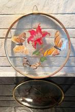 Vlinder taxidermie Brazilië, Ophalen of Verzenden, Gebruikt, Insect, Opgezet dier