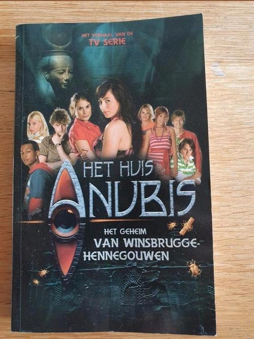 Het geheim Van winsbruggehennegouwen, Boeken, Kinderboeken | Jeugd | 13 jaar en ouder, Zo goed als nieuw, Ophalen of Verzenden