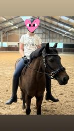 Verzorger aangeboden/verzorg pony gezocht, Ophalen of Verzenden, Nieuw