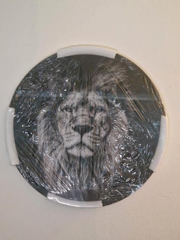 Glazen Schilderij Leeuwenkop - Nieuw in Verpakking beschikbaar voor biedingen