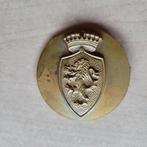 Wapenschild Leeuw broche, Niet vindbaar, Niet vindbaar, Nederland, Embleem of Badge