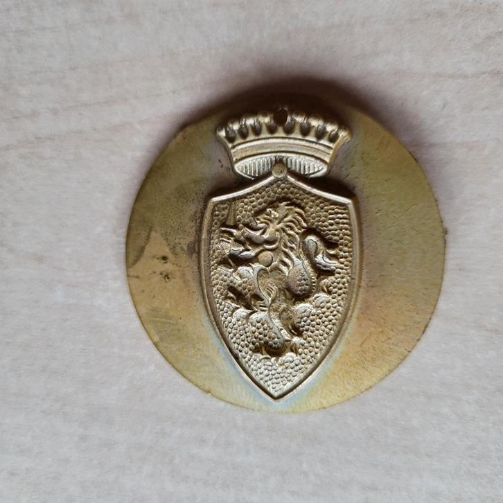 Wapenschild Leeuw broche, Verzamelen, Militaria | Algemeen, Landmacht, Embleem of Badge, Nederland, Ophalen of Verzenden