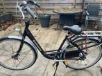 Batavus Mambo Delux 48 inch, Fietsen en Brommers, Fietsen | Dames | Moederfietsen, Ophalen, 2 zitjes, 47 tot 50 cm, Batavus