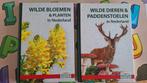 Wilde Dieren & Paddenstoelen en Wilde Bloemen & planten, Ophalen of Verzenden, Nieuw, Bloemen, Planten en Bomen