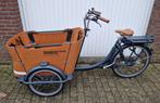 Electrische Curve-E/ Go-E (honden) bakfiets, Fietsen en Brommers, Fietsen | Bakfietsen, Ophalen of Verzenden, Gebruikt, 4 kinderen of meer