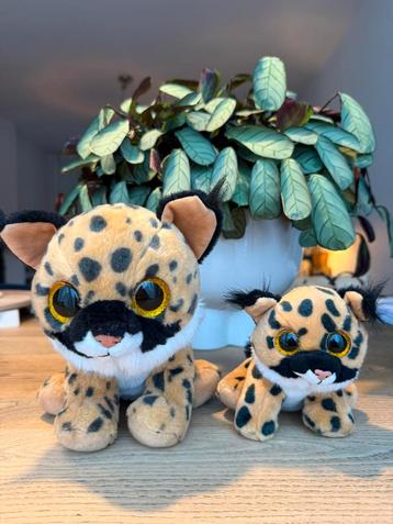 Setje van twee Beanie Boo’s groot en klein beschikbaar voor biedingen