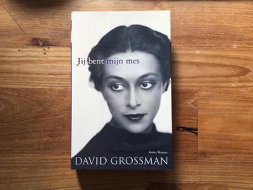David Grossman - Jij bent mijn mes beschikbaar voor biedingen