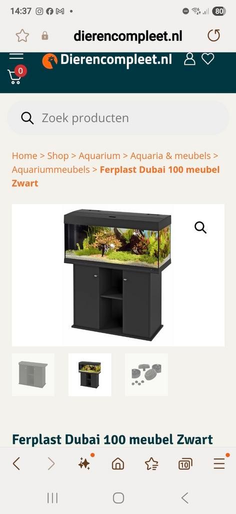 3 Axolotls met aquarium, toebehoren en meerdere visjes!, Dieren en Toebehoren, Vissen | Aquaria en Toebehoren, Gebruikt, Gevuld zoetwateraquarium