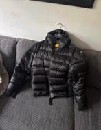 Parajumpers winterjas XL Sheen, Ophalen of Verzenden, Zo goed als nieuw, Maat 56/58 (XL), Zwart