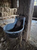 drinkbak, Stalling, 2 of 3 paarden of pony's