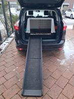 Ferplast honden transportbox met loopplank, Ophalen of Verzenden, Zo goed als nieuw