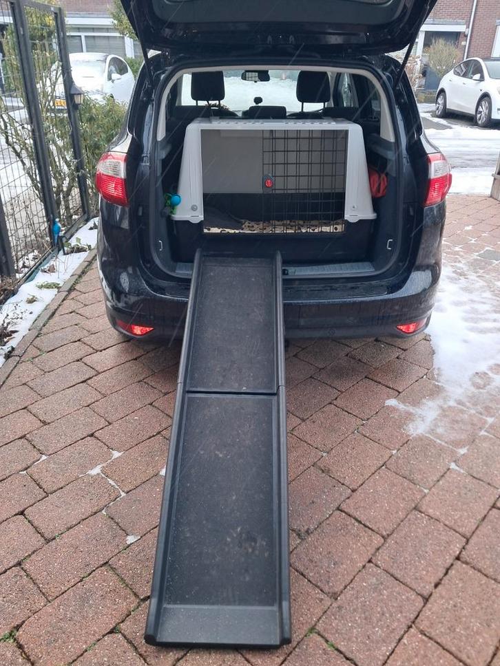 Ferplast honden transportbox met loopplank, Auto diversen, Hondenrekken, Zo goed als nieuw, Ophalen of Verzenden