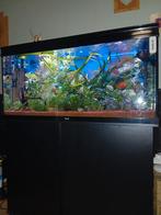 Aquatlantis, Dieren en Toebehoren, Vissen | Aquaria en Toebehoren, Ophalen, Zo goed als nieuw