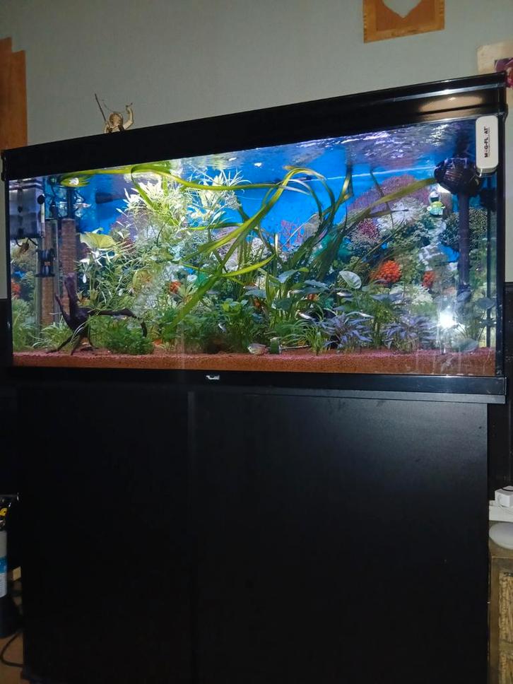 Aquatlantis, Dieren en Toebehoren, Vissen | Aquaria en Toebehoren, Zo goed als nieuw, Ophalen