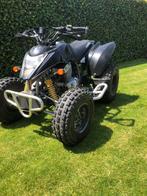 Barossa quad 250cc met kenteken, Motoren, 2 cilinders, 250 cc