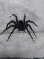 Echte halloweenprinten geborduurd op lapje stof, Hobby en Vrije tijd, Stoffen en Lappen, Ophalen of Verzenden, Nieuw, Katoen
