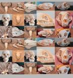 Grote verzameling van Schedels / Taxidermie / Skull/ Skelet, Ophalen of Verzenden, Schedel