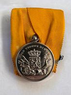 Nederlandse zilveren Onderscheiding - Voor Trouwe Dienst, Ophalen of Verzenden, Landmacht, Nederland, Lintje, Medaille of Wings