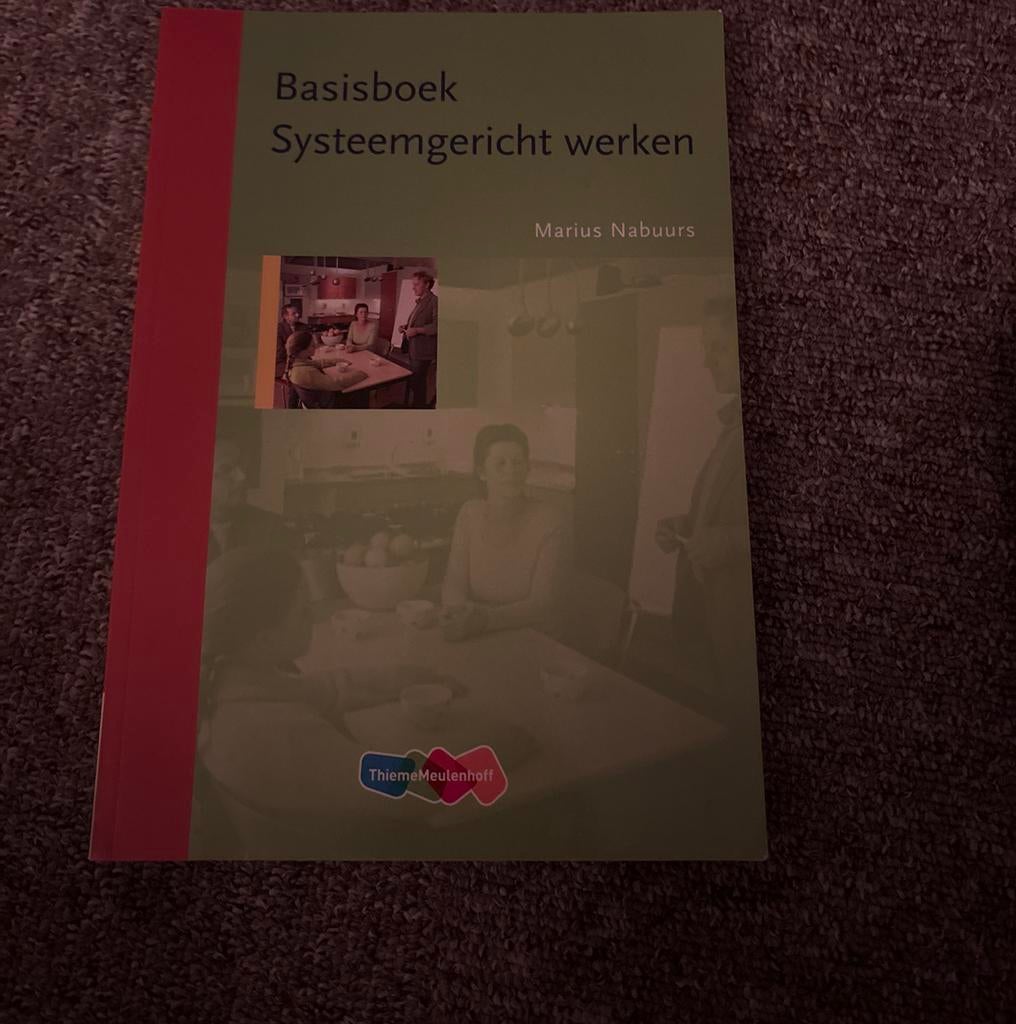 M. Nabuurs - Basisboek systeemgericht werken, Ophalen, Zo goed als nieuw, M. Nabuurs