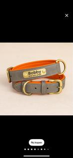 Halsband voor kleine hond nieuw, Dieren en Toebehoren, Ophalen of Verzenden, Nieuw