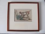 Antieke gravure - hond, Ophalen of Verzenden