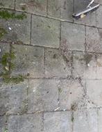 Tuintegels - Terrastegels, Tuin en Terras, Tegels en Klinkers, Ophalen, Gebruikt, Minder dan 5 m², Beton