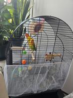 1, Boeken, Ophalen of Verzenden, Zo goed als nieuw, Vogels