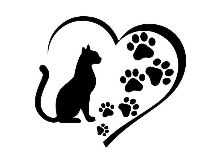 7x Poezenpil, Dieren en Toebehoren, Katten-accessoires, Nieuw, Ophalen of Verzenden