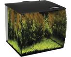 Aquarium met LED  fluval, Dieren en Toebehoren, Ophalen of Verzenden, Zo goed als nieuw